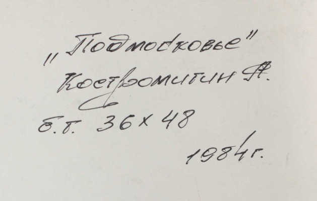 Костромитин Андрей Николаевич. Подмосковье